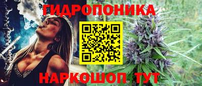 прущие крисы Шелехов