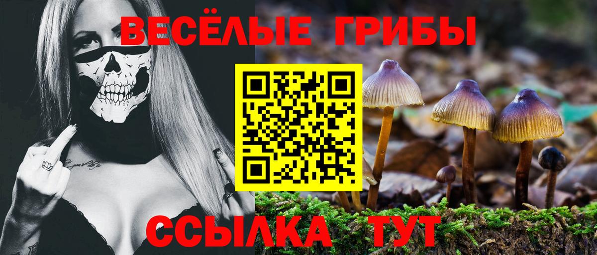 Галлюциногенные грибы мухоморы  Псилоцибиновые грибы ЛСД  Вход с VPN  Аргун 